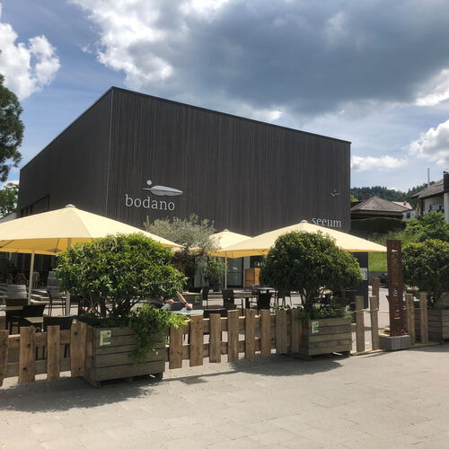 Terrasse mit Schirmen im Bodano in Bodman